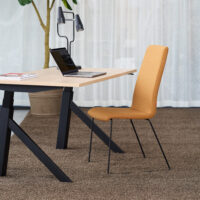 Apollo-4legs-plain-img3