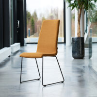 Apollo-Bolt-plain-img1